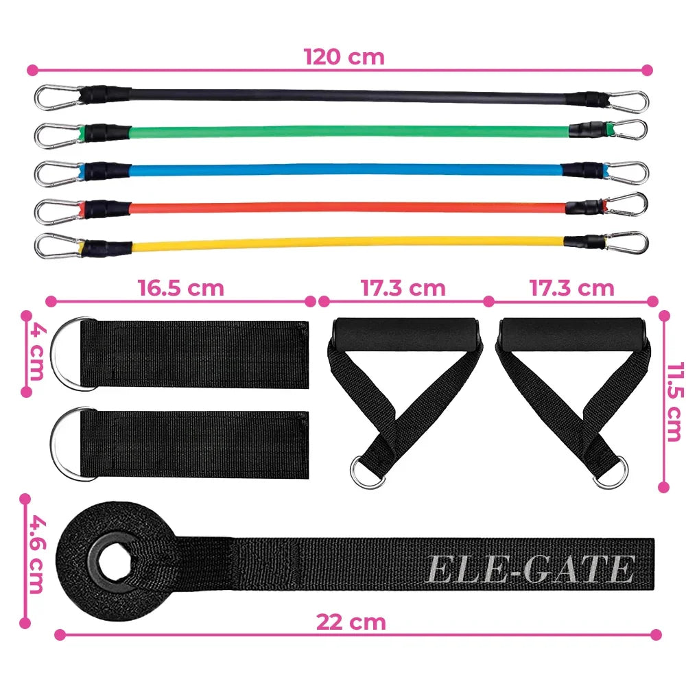 5-Level Resistance Band Set for Home Workout & Fitness Training